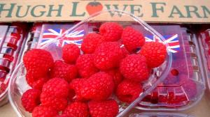 high class/low wage produce from hugh lowe farms pic credit: twitter