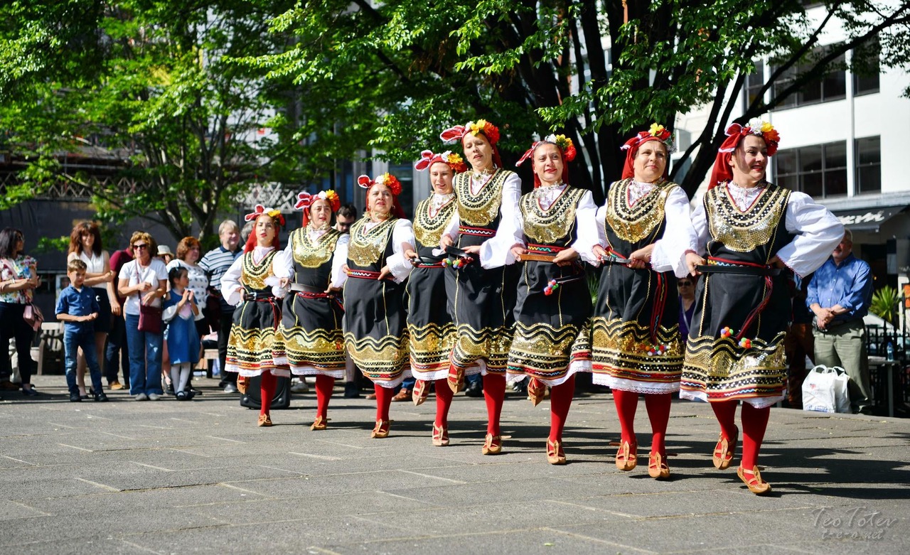 Bulgaria Dancers Party